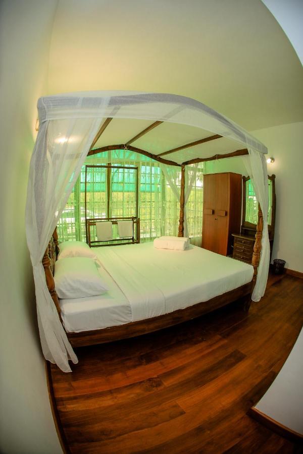 The Barnsbury House Bed and Breakfast Νουβάρα Ελίγια Εξωτερικό φωτογραφία